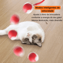 SmartCat Ball – Bola Interativa Inteligente para Gatos