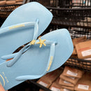 Chinelo Havaianas Logo Pop Up + Pin Tartaruga e Estrela